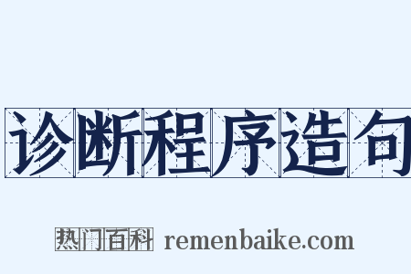 诊断程序造句是什么意思的图片